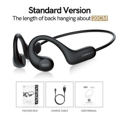QCY T22 Crossky Link Wireless Earphone Bluetooth 5.3 Open Ear Sports Headphones Waterproof Ear Hook Headset Cycling Running _ Brand, Earphone, Portable Audio & Video, QCY, Ship from USA _ Turtle and Rabbit _ turtle-and-rabbit.com